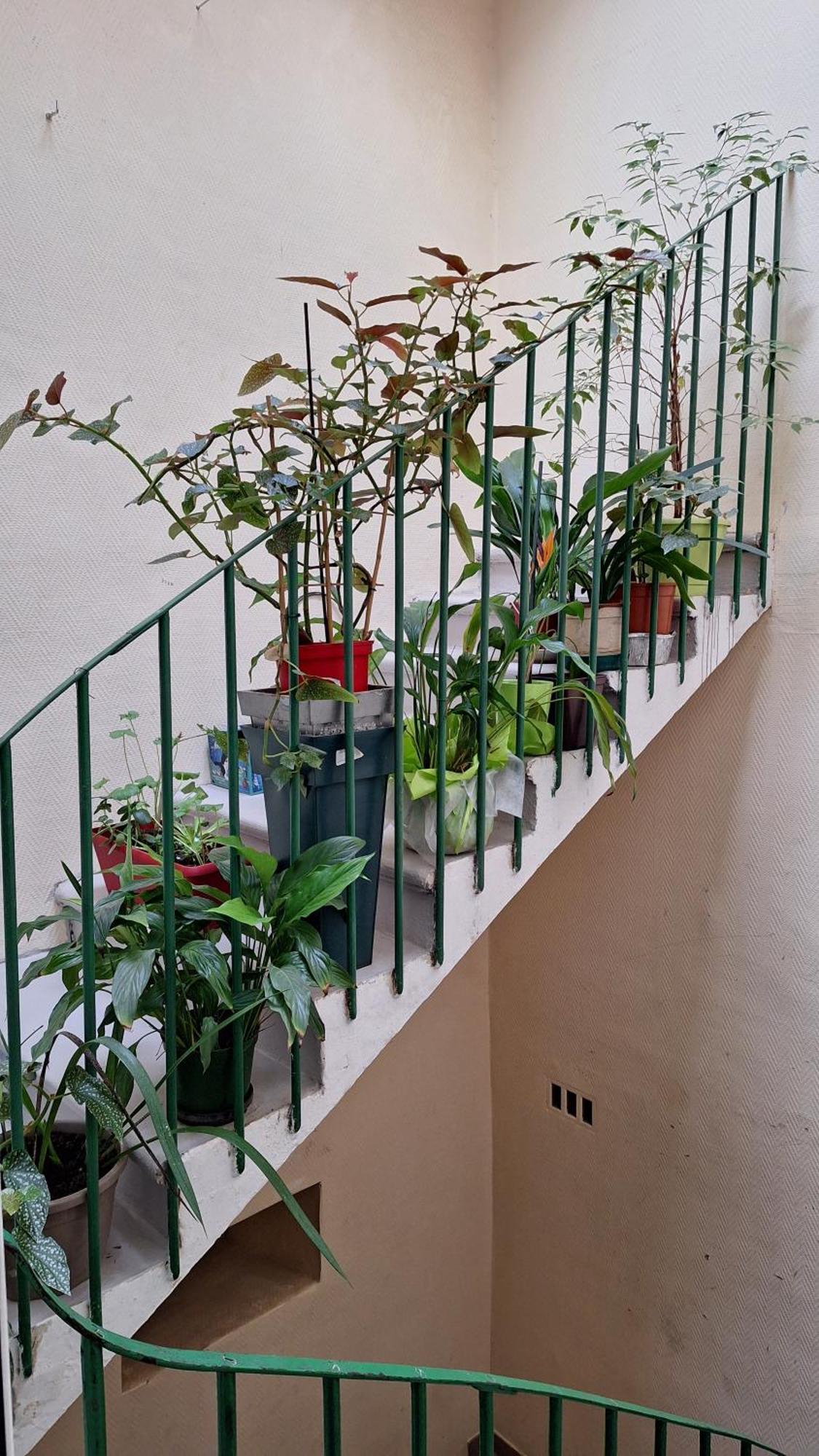 Vacance Et Cure Dans Duplex 80 M2 A Ceret 66400 Exteriör bild
